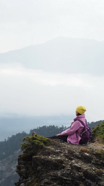 《南投》高山杜鵑盛宴｜哈哈山、石門山北峰202104181353412