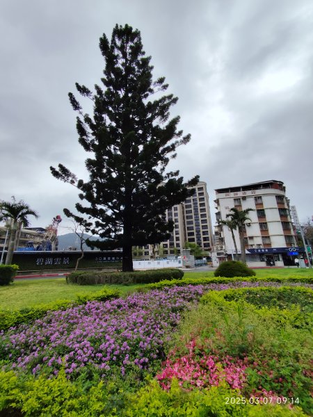 內湖大港墘公園、西湖圖書館、湖光教會、737巷美食街2729378