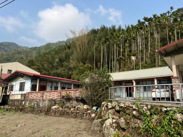 2026騎車跑了一趟雲嘉，入住樹屋3057550