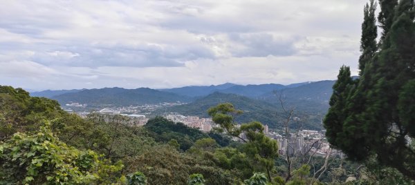 鳶山（福德坑山）2970859