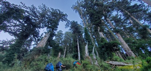 2025國慶連假_南湖群峰7座百岳行2916918