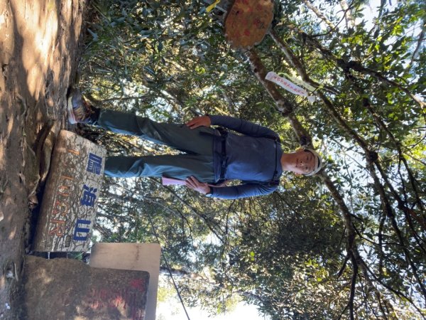 20251116_鳴海山（高雄小百岳）2941584