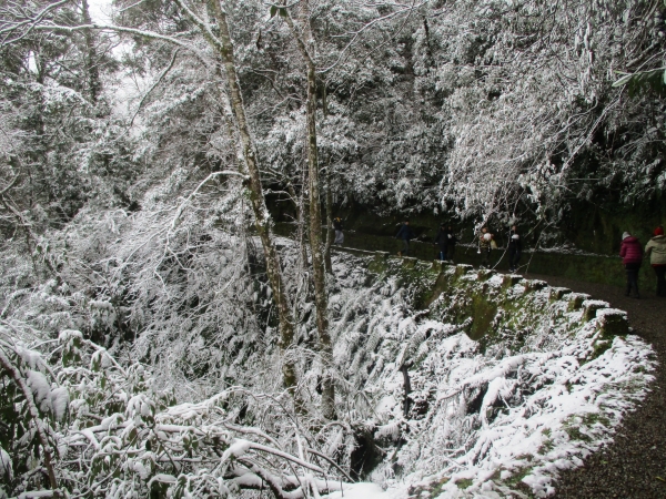 拉拉山之雪263041