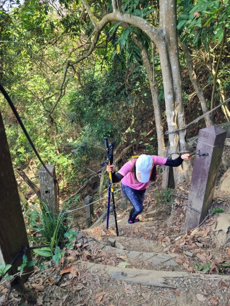 南化龍麟山（王爺崙山）O型952453