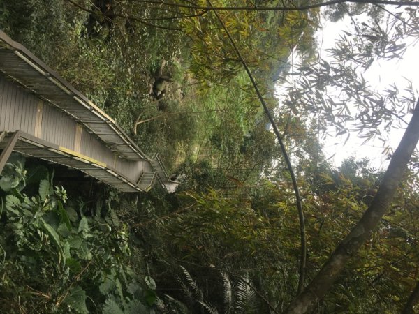 四十二份湧泉2723156