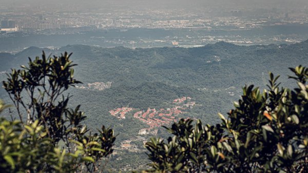 鳥嘴含煙-桃園大溪金面山1463113