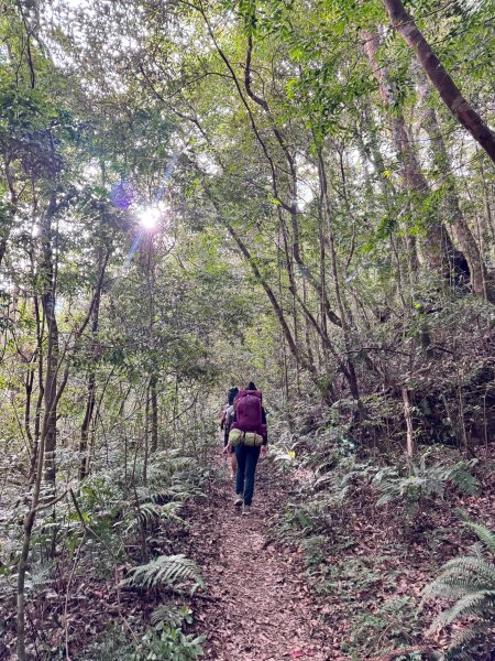 2025.11.30 西巒大山2952291