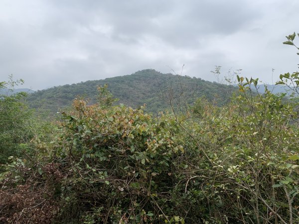 20250405屏東內南世山-西霧里乙山2757798