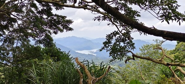 2025/07/06_金牌縱走(觀音洞出發小O型)