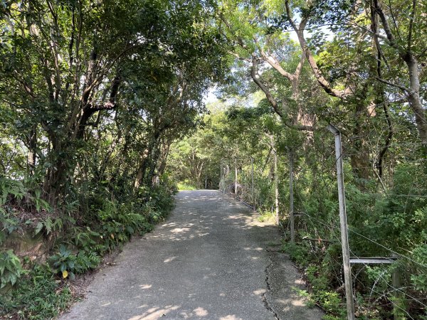 [微笑山線_第五段] 2025_0705 天上山系_五尖山2830313