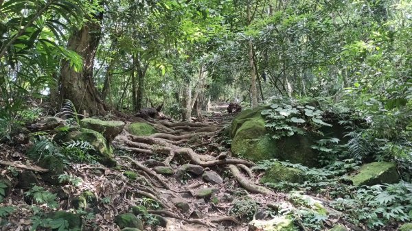 20251004 馬那邦山 - 珠湖 登山口2904820