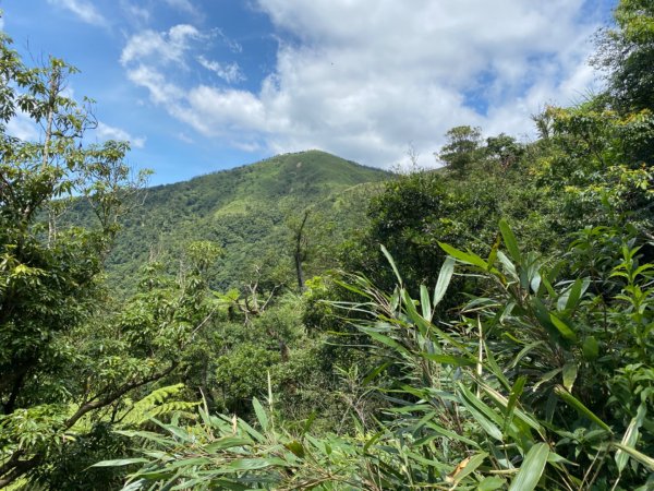 步道巡訪員 l 聖母登山步道109年七月份巡訪1052993