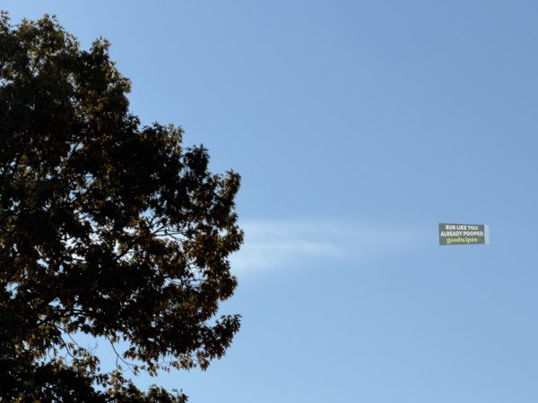 [紐約馬之行-14] 2025_1102 馬拉松開跑前後2945399