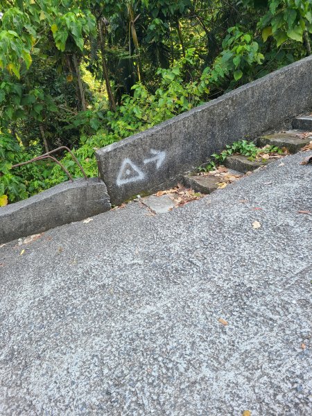 省議會後山步道2730892