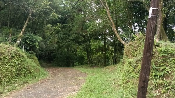 雙溪區豎旗山北稜線-豎旗山-豎旗山南峰-烏山尖-鄒家古厝-保成坑口站O型3071238