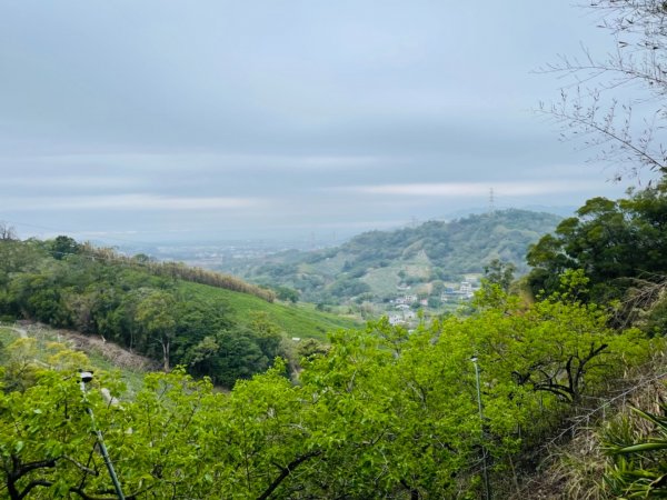 1100306.13鳳凰山.觀音山步道1298241