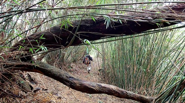 基隆八上七下縱走2785118