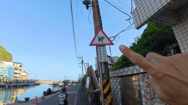 2026097_鼻頭角步道3135716