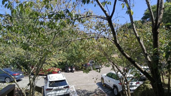 20251004 馬那邦山 - 珠湖 登山口2904968