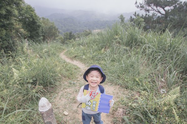 四歲小樂的第五座小百岳-鵲子山964887