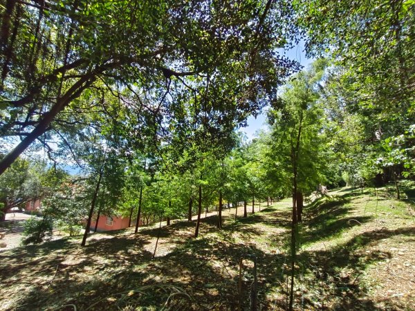 霄裡好風光2867068