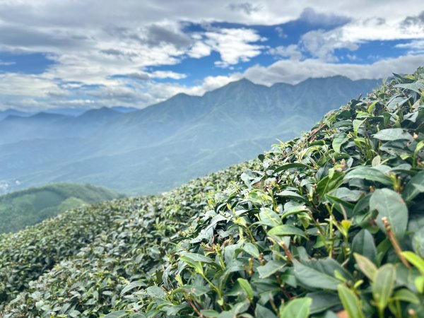 南投小半天七連峰3094625