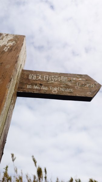 20260125 陽明山前後山健行(無極天元宮~山仔頂步道.向天池.向天山.面天山.二子坪)2998023