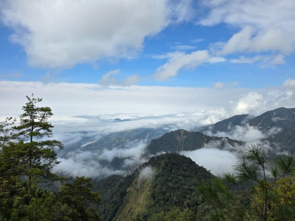 鳶嘴山+稍來神木2709899