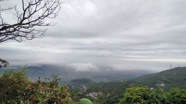 阿拔泉山稜線步道雲海1561745