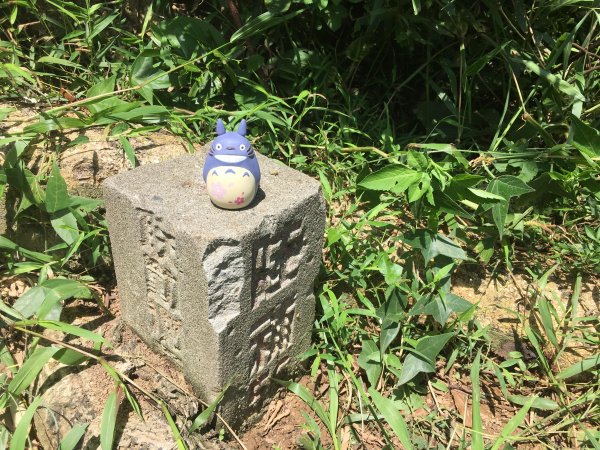 20190907-十八尖山673544
