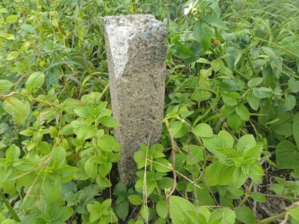 20230812台中東勢石角山、麻竹坑山、和平大南坑山主峰、大南坑山、大南坑山東峰2246209