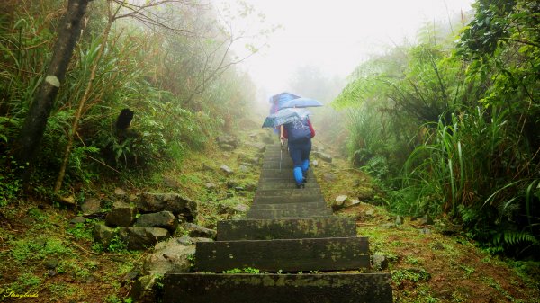 淡蘭古道深度旅遊~尋找古道上珍貴歷史遺跡754480