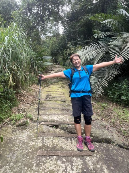 阿里山達娜伊谷、里美避難步道、巨石板步道2909920