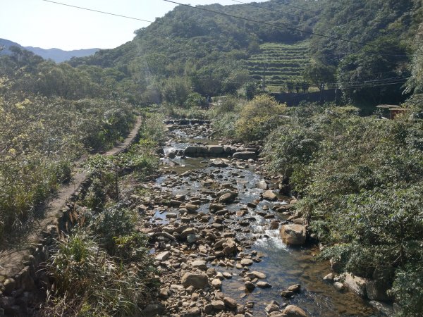 草嶺古道＆灣坑頭山(小百岳#82) 2021/2/61422619