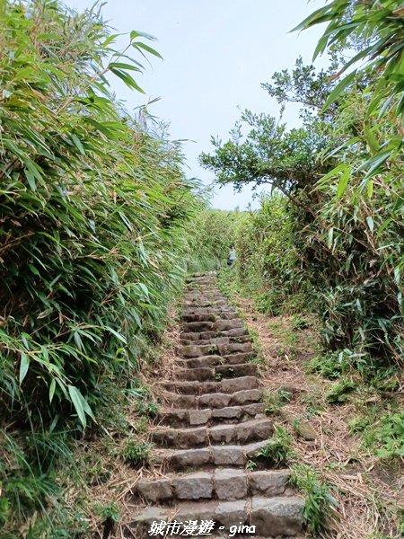 【台北北投】搭捷運公車爬山趣。 小百岳集起來。編號2小百岳~七星山步道1766562