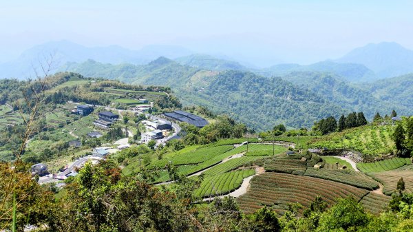 二延平步道。貿易戰2764962