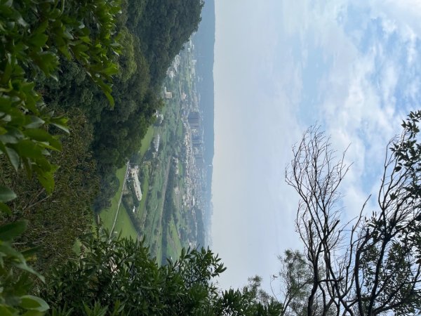 20231024_新竹飛龍健行步道（森遊竹縣）2762919