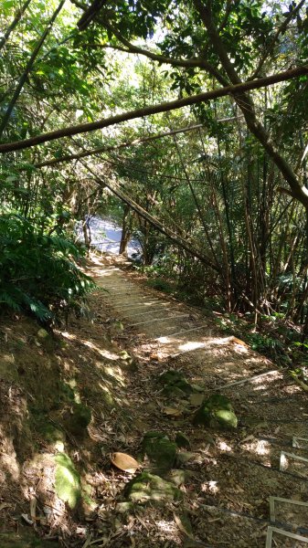 大溪大灣坪古道-環湖公路-新溪洲山步道728077