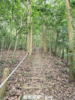 【台中和平】橫嶺山自然步道_木馬古道3095019