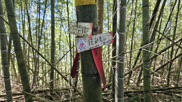 【四大天王山O型縱走未竟之旅：封山中的靜謐與省思】解鎖嘉義竹崎四大天王山、知鳥山。2929897