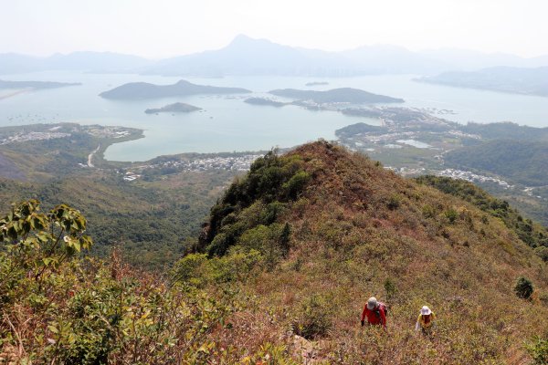 HK - 觀音脊、八仙嶺1465869