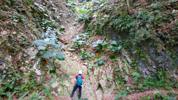 錐麓古道算高山嗎?1122399