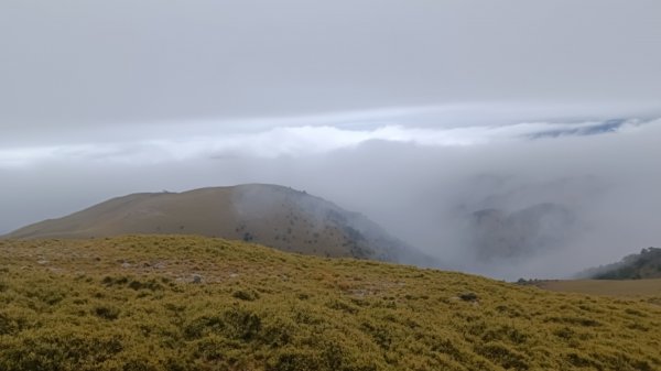 百岳:三叉山1979126