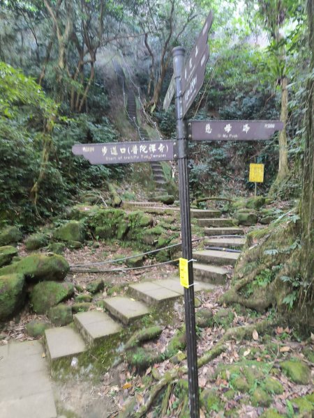 20251010微笑山線：【五分山系】平溪小黃山段 - 健行筆記2910173
