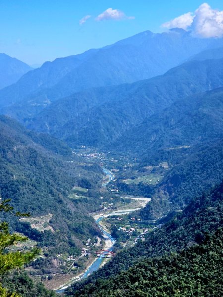 白毛山-谷關七雄(老六)3015217