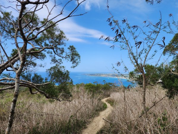 小百岳No.81⛰大山母山2776416