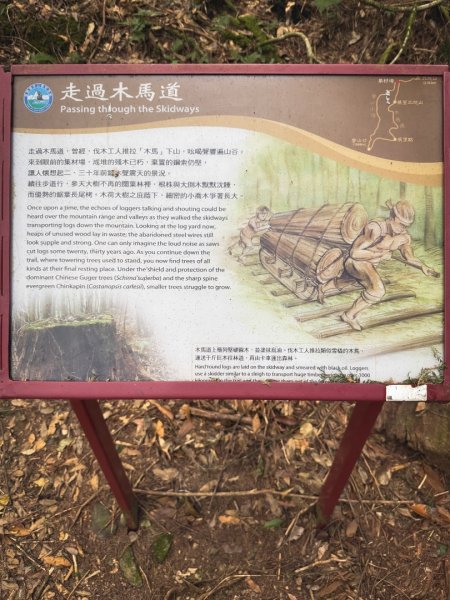 雪見遊憩區 探訪森林雪見之王2950857