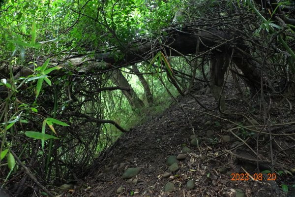 新竹 新埔 石頭坑山、犁頭山2255975