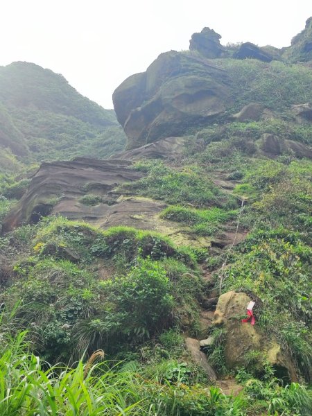 南雅山-門牙岩-鐵達尼岩-海園古道-鼻頭角封面
