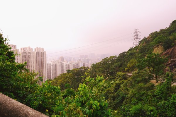 香港獅子山742290